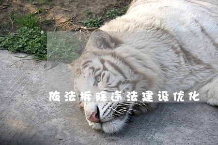 依法拆除违法建设优化