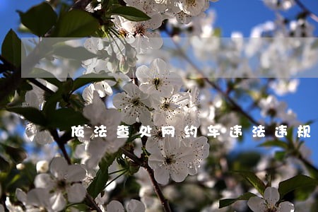 依法查处网约车违法违规经营 依法查处网约车违法违规经营