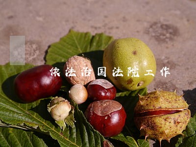 依法治国法院工作 依法治国法院工作