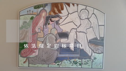 依法规定招标项目 依法规定招标项目