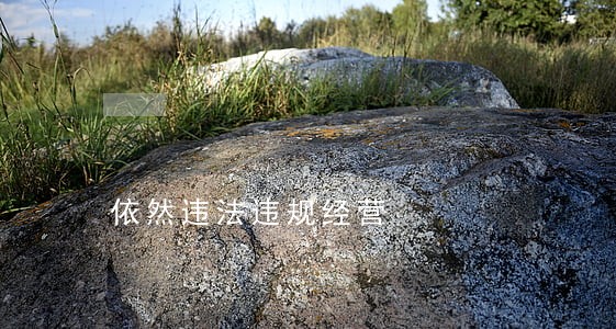 依然违法违规经营 依然违法违规经营