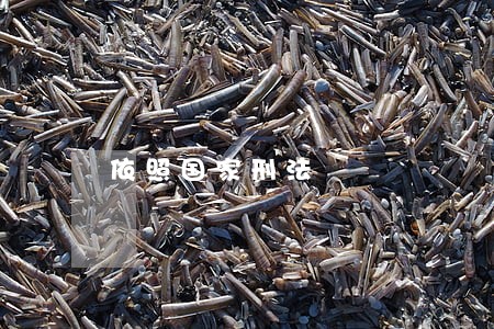 依照国家刑法 依照国家刑法