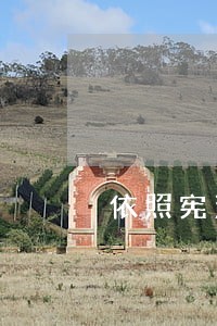 依照宪法规定是什么