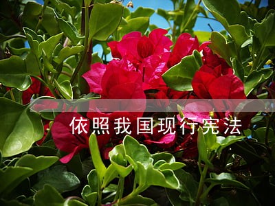 依照我国现行宪法 依照我国现行宪法