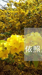 依照民法通则行为 依照民法通则行为