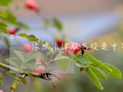 依照法律服兵役是中华人民共和国公民的什么