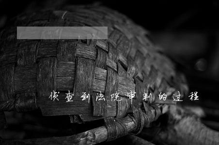 侦查到法院审判的过程 侦查到法院审判的过程