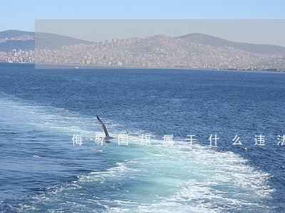 侮辱国旗属于什么违法行为