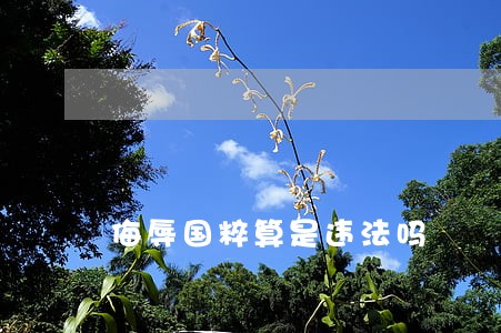 侮辱国粹算是违法吗 侮辱国粹算是违法吗