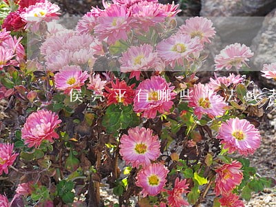 侯亮平有哪些违法或者违规的地方