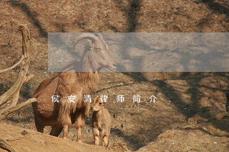 侯安清律师简介 侯安清律师简介