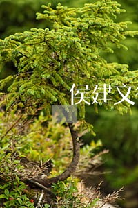 侯建文律师简介 侯建文律师简介