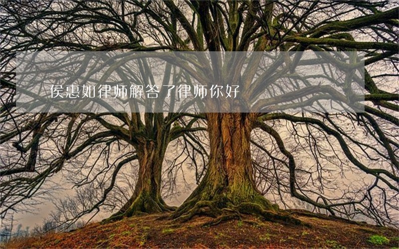 侯惠如律师解答了律师你好 侯惠如律师解答了律师你好