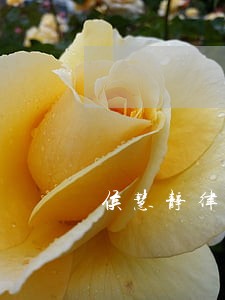侯慧静律师解答了侯律师您好 侯慧静律师解答了侯律师您好