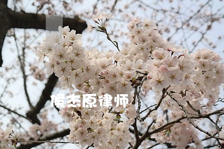 侯杰原律师 侯杰原律师