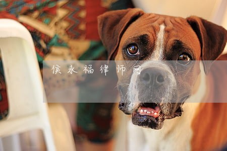 侯永福律师网 侯永福律师网