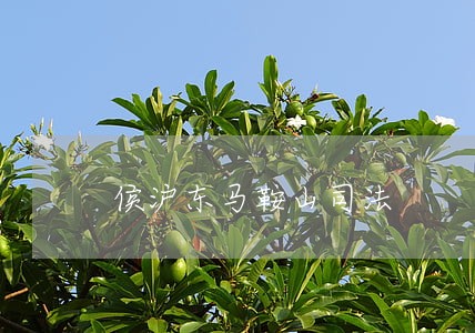 侯沪东马鞍山司法 侯沪东马鞍山司法