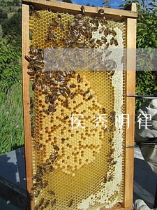 侯秀明律师 侯秀明律师