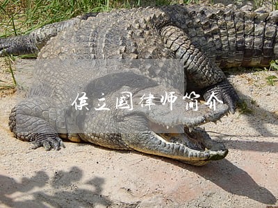 侯立国律师简介