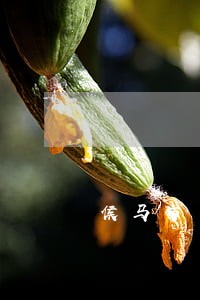 侯马市专业房产税征收纠纷律师 侯马市专业房产税征收纠纷律师