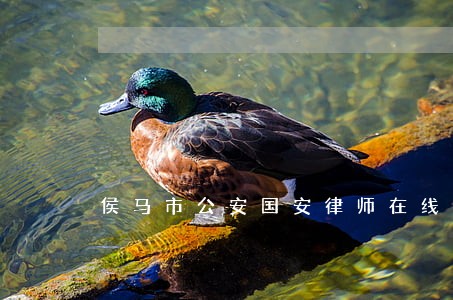 侯马市公安国安律师在线免费咨询 侯马市公安国安律师在线免费咨询