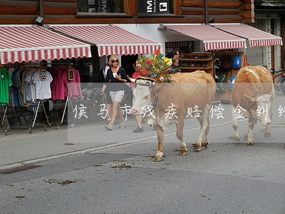 侯马市残疾赔偿金纠纷律师 侯马市残疾赔偿金纠纷律师