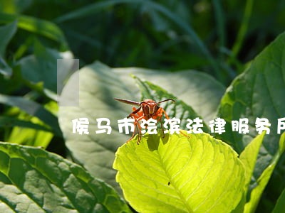 侯马市浍滨法律服务所 侯马市浍滨法律服务所