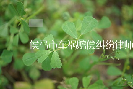 侯马市车祸赔偿纠纷律师 侯马市车祸赔偿纠纷律师