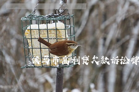 侯马市高利贷欠款诉讼律师 侯马市高利贷欠款诉讼律师