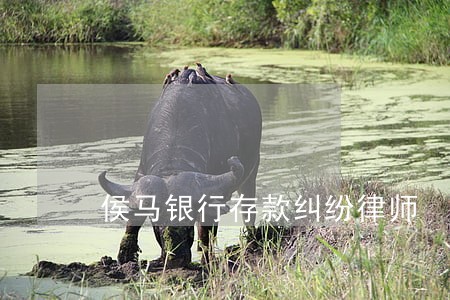 侯马银行存款纠纷律师 侯马银行存款纠纷律师
