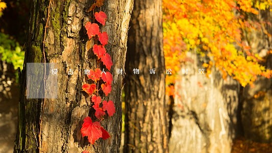 侵占他人财物诉讼时效 侵占他人财物诉讼时效