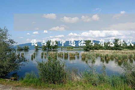 侵占罪中违法占有怎样认定 侵占罪中违法占有怎样认定