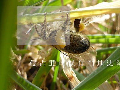 侵占罪可以在当地法院起诉吗 侵占罪可以在当地法院起诉吗