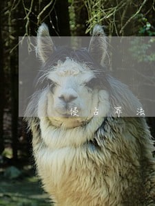 侵占罪法院立案审理时间 侵占罪法院立案审理时间