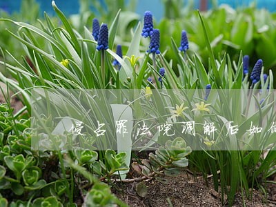 侵占罪法院调解后如何执行 侵占罪法院调解后如何执行