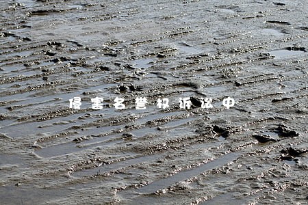 侵害名誉权诉讼中