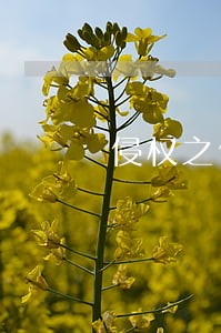 侵权之债请求权诉讼时效 侵权之债请求权诉讼时效