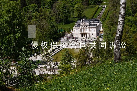 侵权保险合同共同诉讼 侵权保险合同共同诉讼