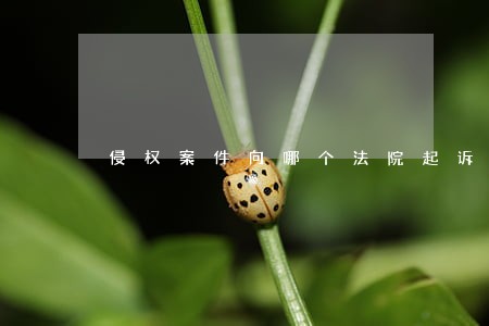 侵权案件向哪个法院起诉 侵权案件向哪个法院起诉