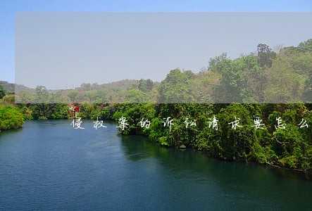 侵权案的诉讼请求要怎么写 侵权案的诉讼请求要怎么写