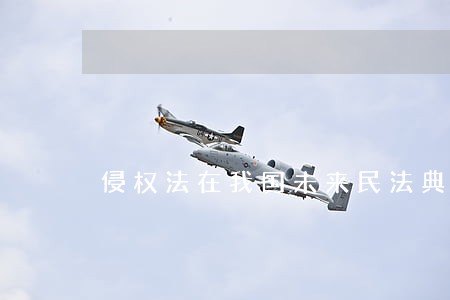 侵权法在我国未来民法典中的地位 侵权法在我国未来民法典中的地位
