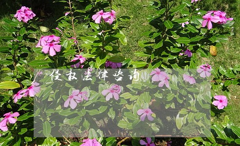 侵权法律咨询 侵权法律咨询