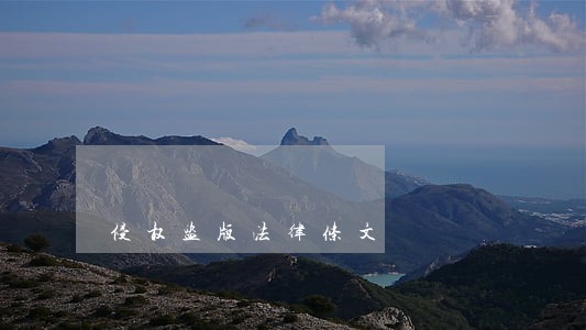 侵权盗版法律条文