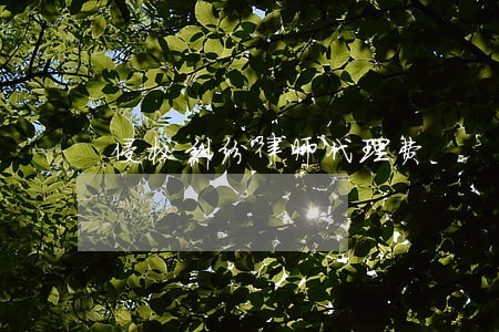 侵权纠纷律师代理费 侵权纠纷律师代理费