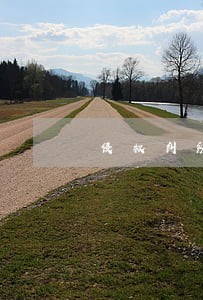 侵权纠纷诉讼指引与实务解答 侵权纠纷诉讼指引与实务解答