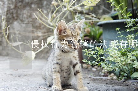 侵权行为管辖的法院有哪些 侵权行为管辖的法院有哪些