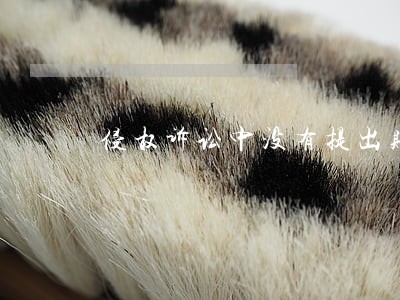 侵权诉讼中没有提出赔偿请求 侵权诉讼中没有提出赔偿请求