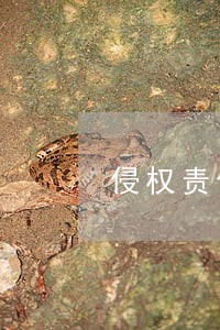 侵权责任法司法解释第十二章 侵权责任法司法解释第十二章