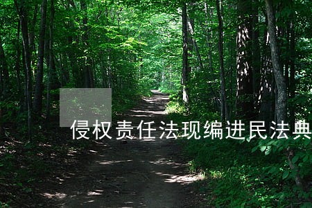 侵权责任法现编进民法典哪里 侵权责任法现编进民法典哪里