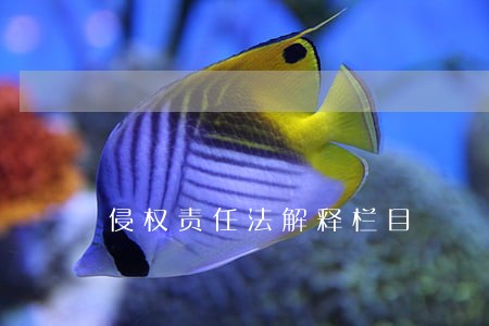 侵权责任法解释栏目 侵权责任法解释栏目